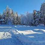Wohnen Wie Bei Freunden